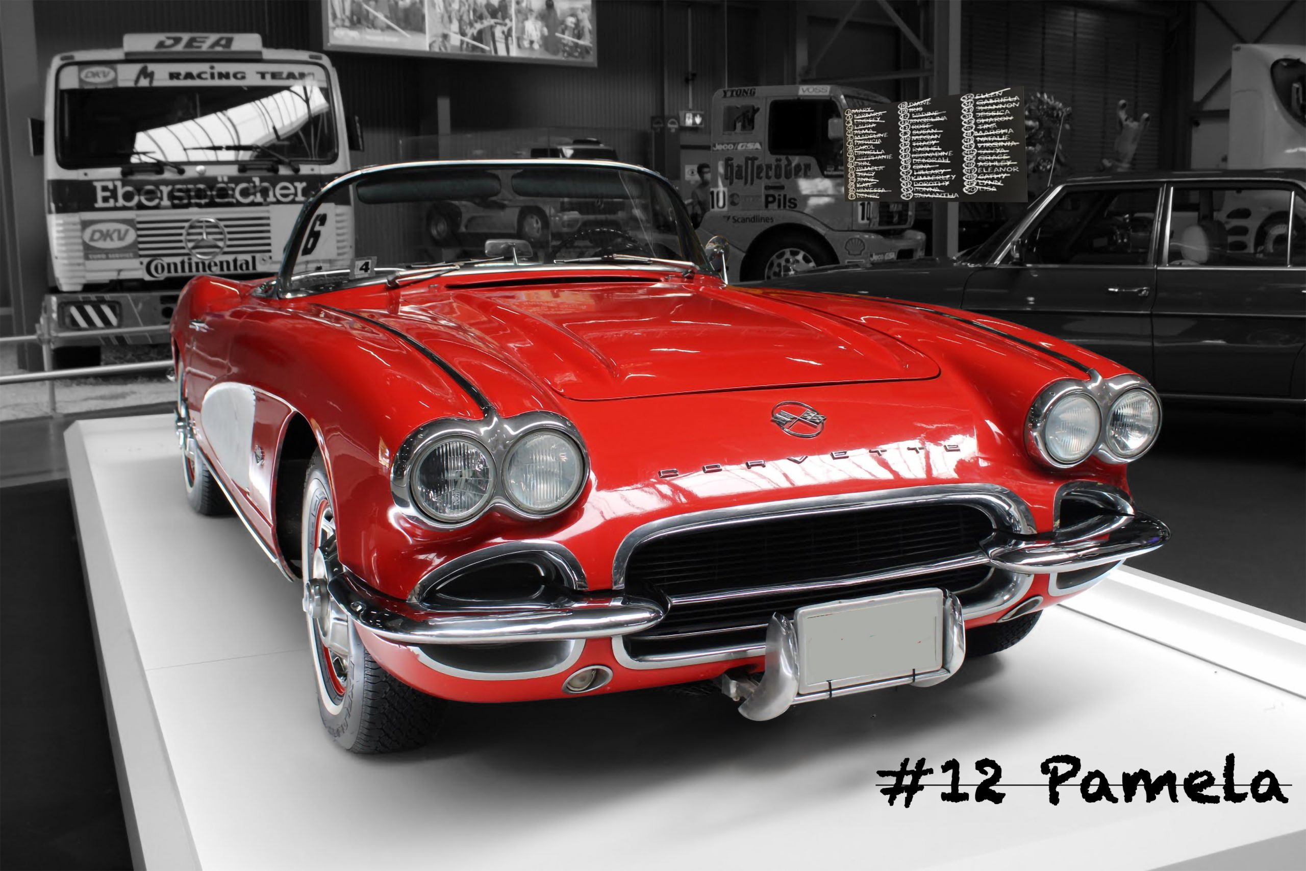 Happy Name Day Pamela (02/12)